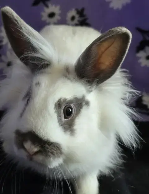Evie photo 3