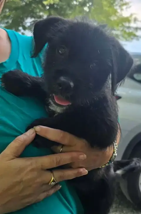 Lenny- Sidekick Material