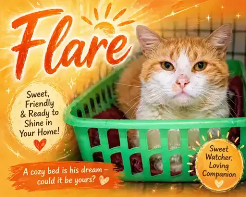 Flare
