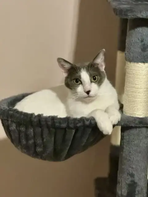 Nellie