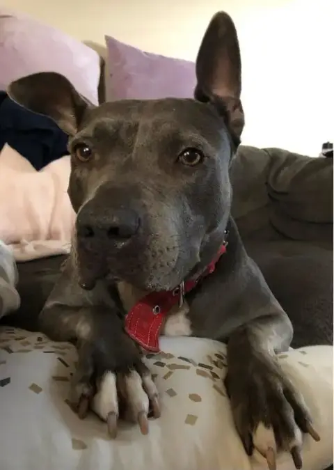 Keisy photo 5
