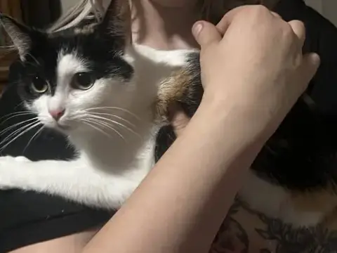 Esme