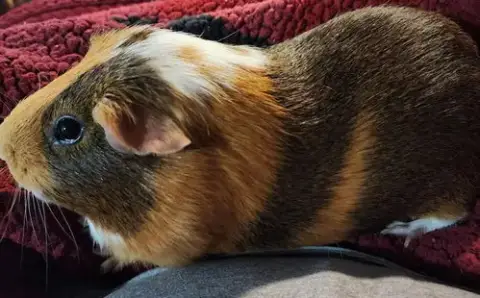 Walter ⭐️ photo 2
