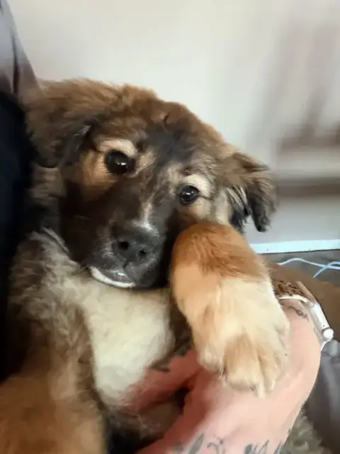 Patti