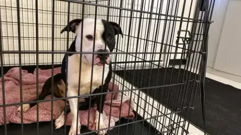 Mara photo 3