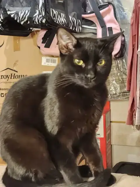 Skye