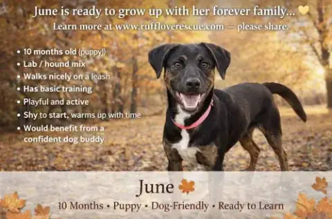 June