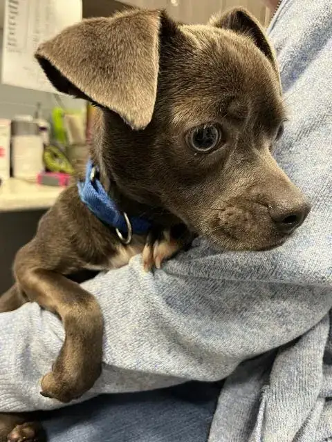 Leonard