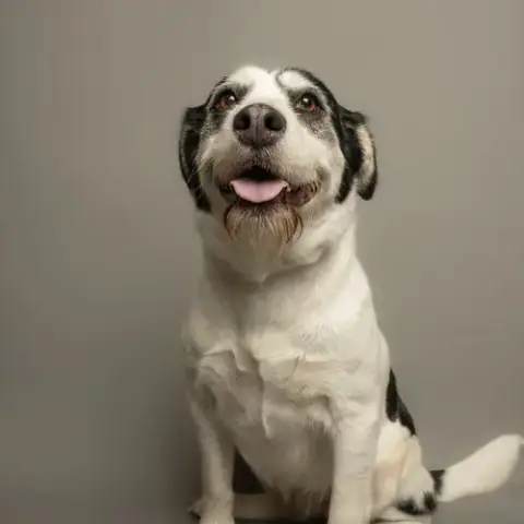Bonnie
