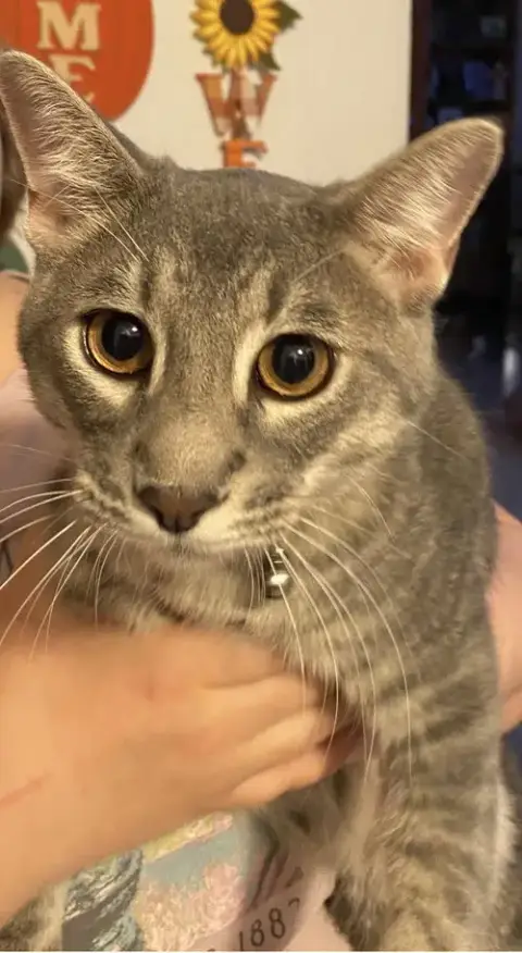 Sammy