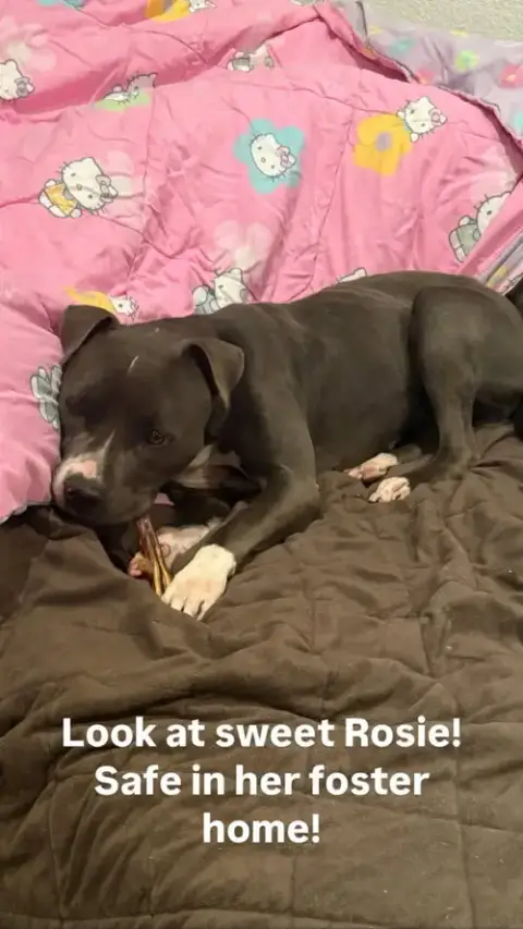 Rosie