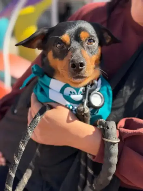 Darwin