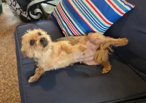 Bella