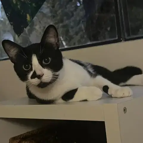 Bruce