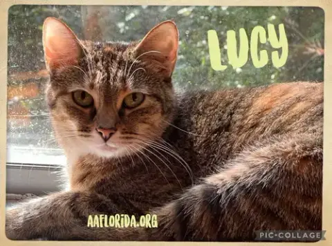 Lucy photo 2