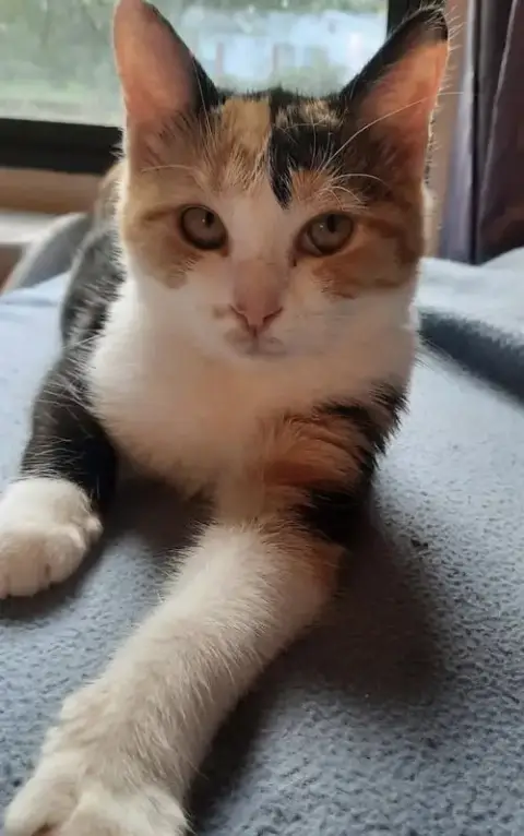 Kierra