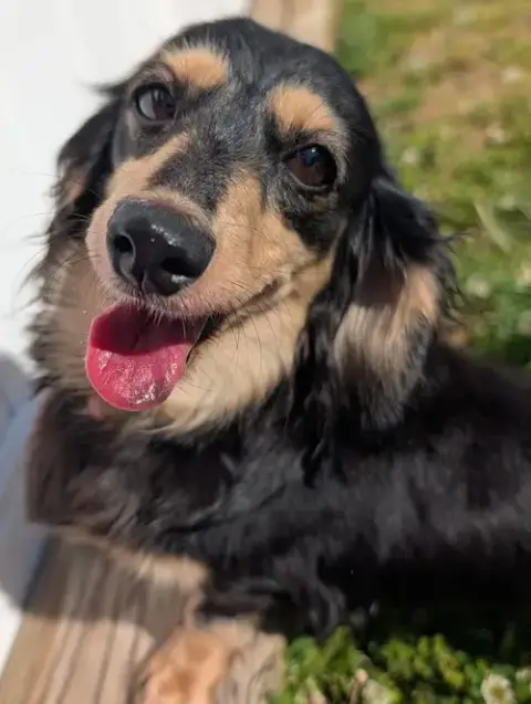 Skylar In Tn