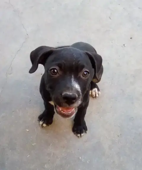 Gamora-In A Foster Home photo 5