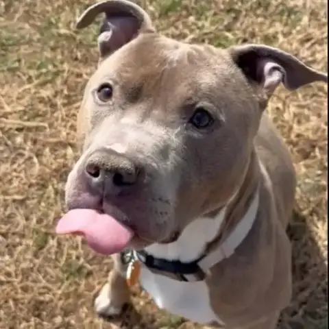 Paco