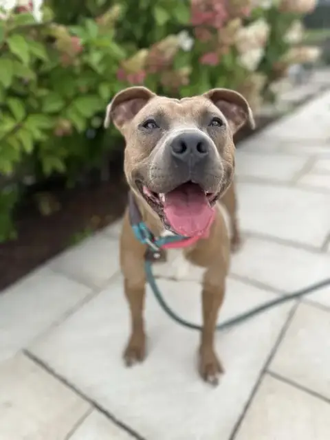 Gigi photo 5