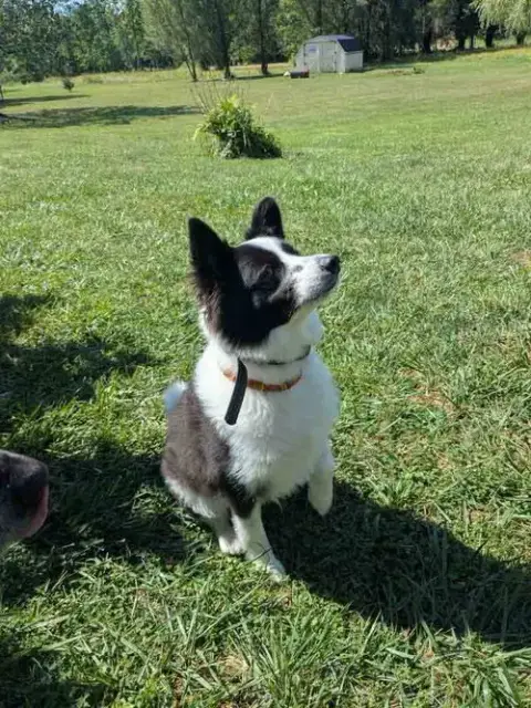 Max Of Clarence Ny photo 2