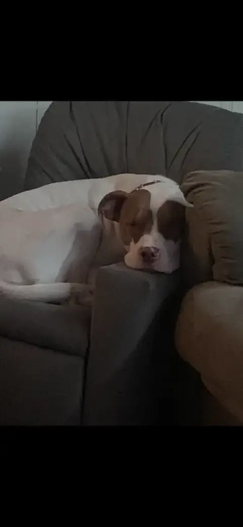 Jax