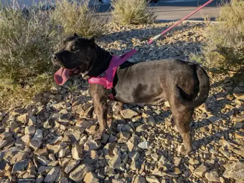 Fiona photo 2