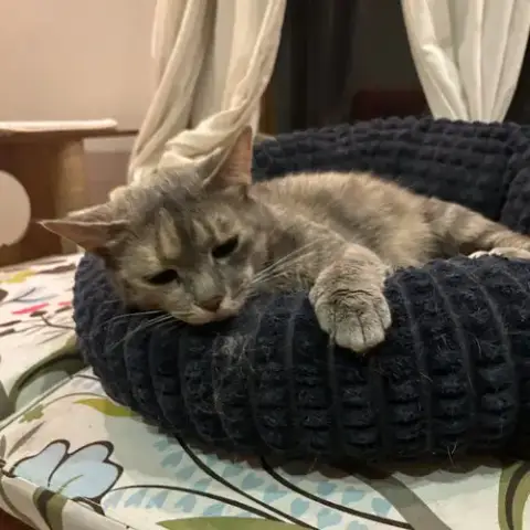 Bella