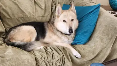 Tobi photo 3
