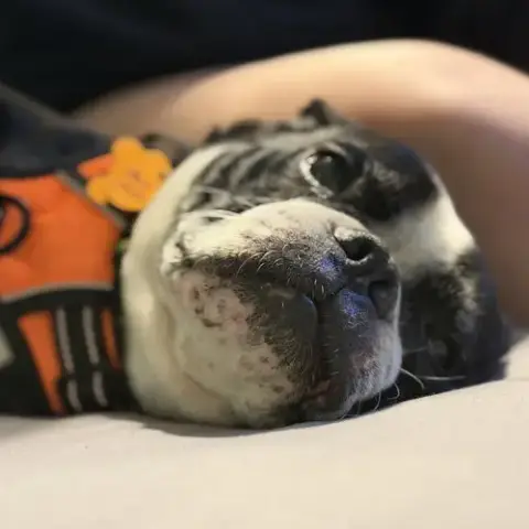 Jack Jack photo 4