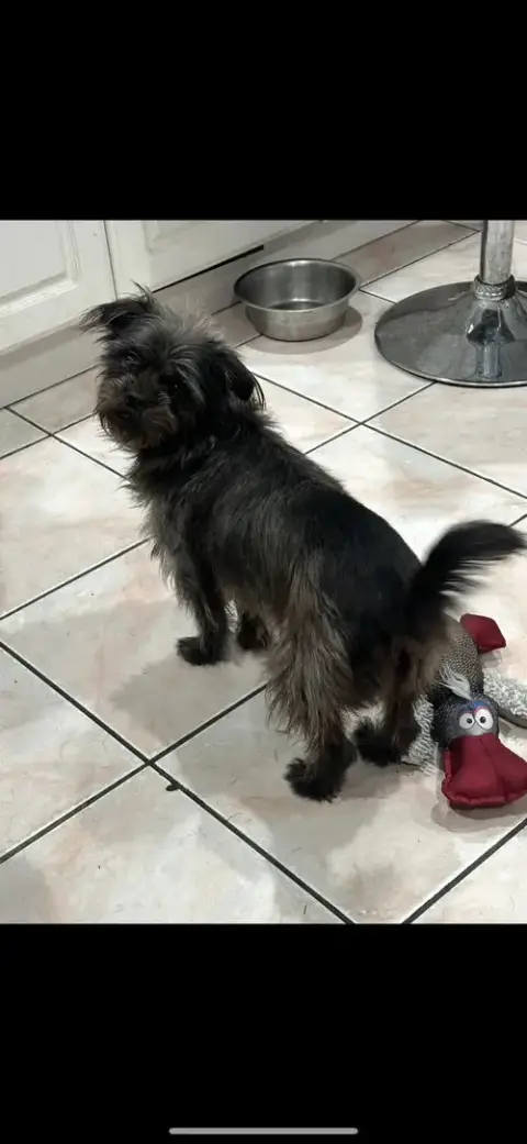 Chloe photo 3