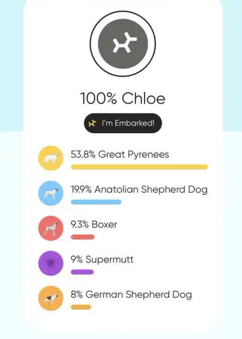 Chloe photo 2