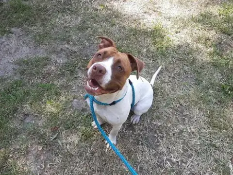 George