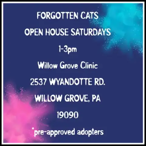 Willow Grove Pa Clinic/Shelter Open House May 2