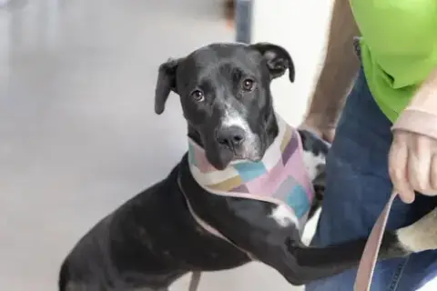 Fiona photo 4