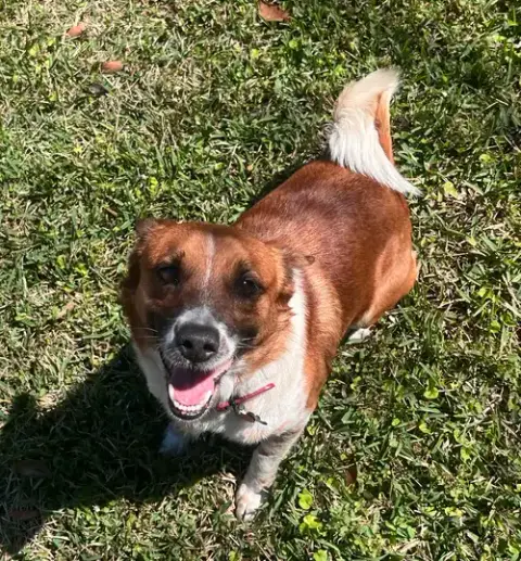 Ranger