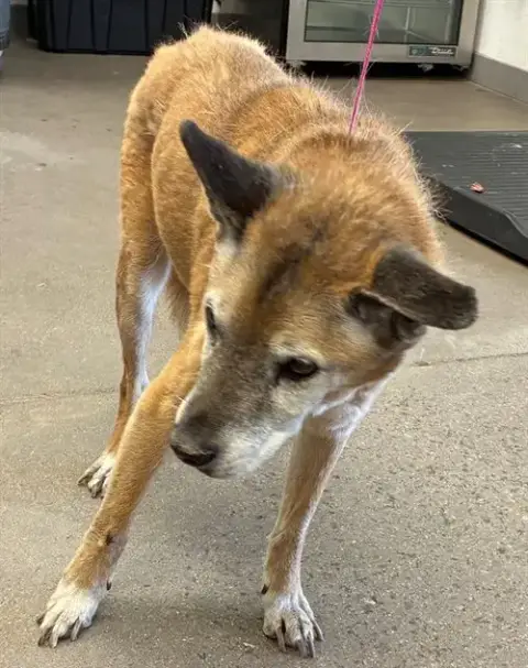 Hudson