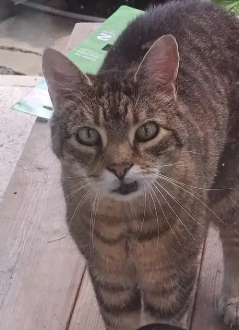 Albert photo 2