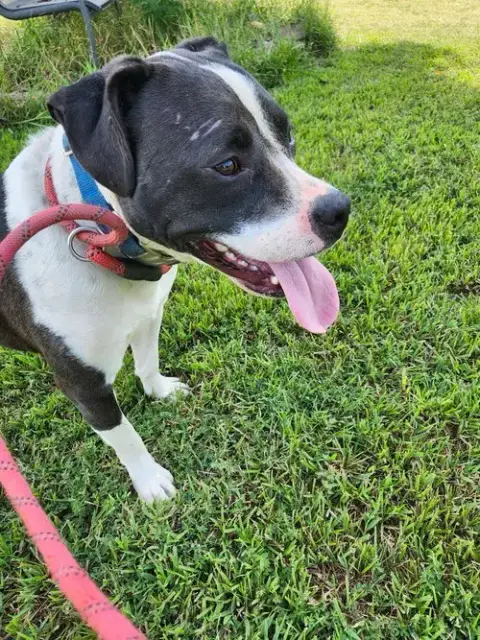 Daisy June photo 3