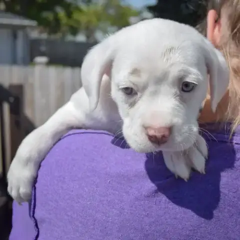 Baby Ruth photo 5