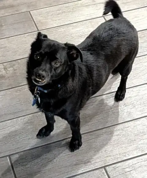 Buddy photo 3