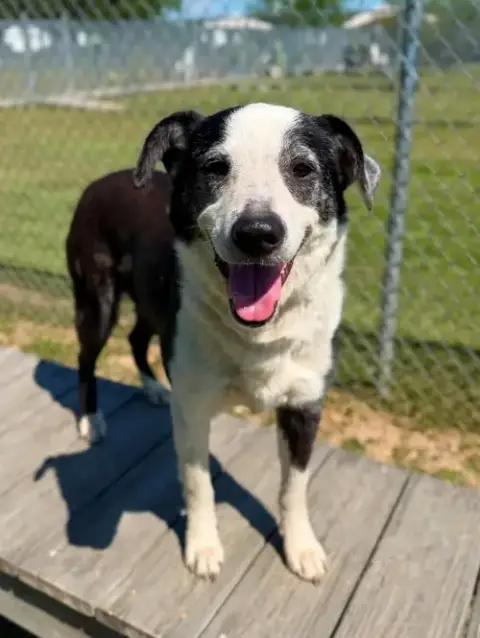 Coco