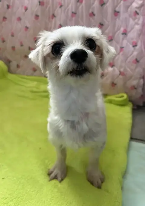 Xena Mar 26 photo 2