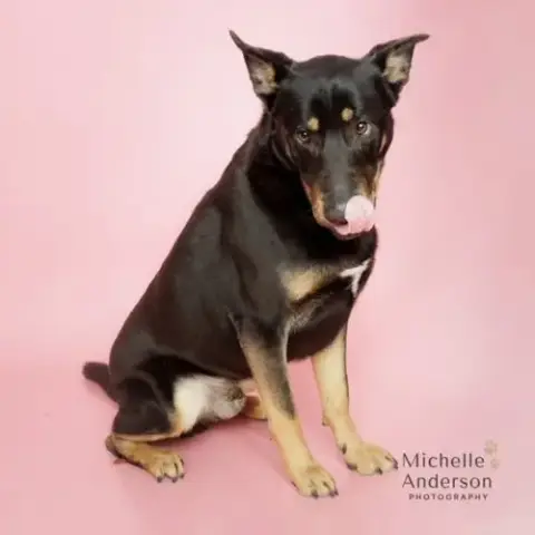 Murphy