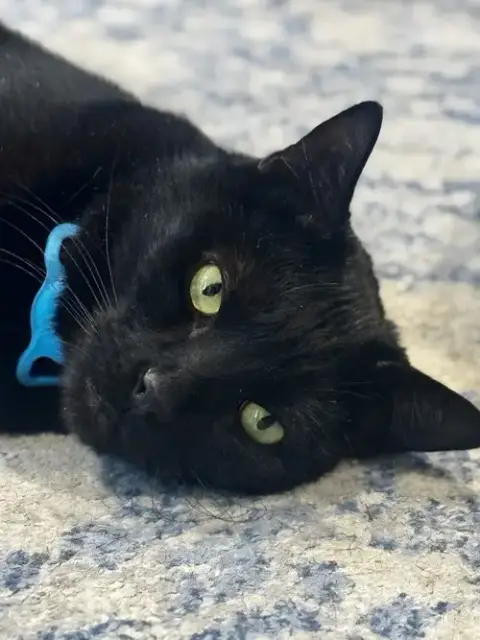 Quincy