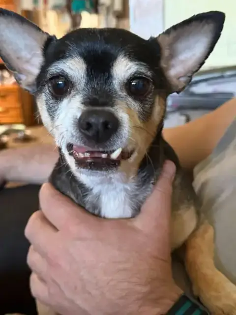 Brody photo 2