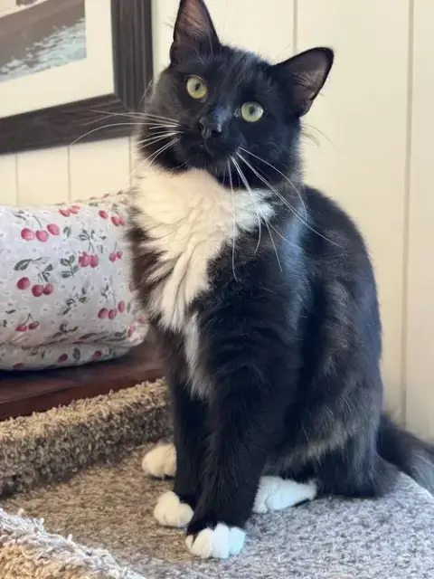 Wilbur
