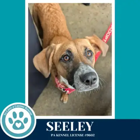 Seeley photo 3