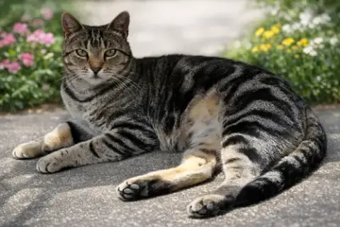 Kiki photo 3