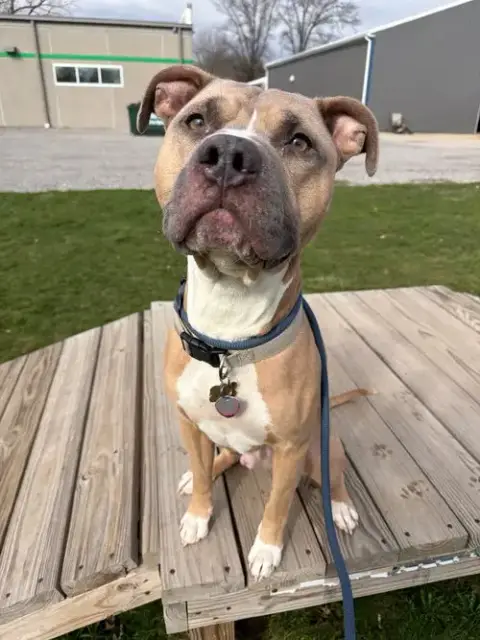 Zeus photo 2